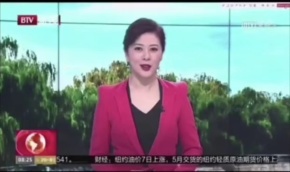 2022年北京冬奥会频